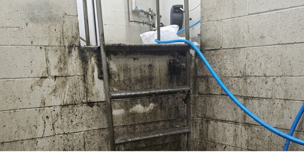 Before – concrete block wall with heavy mould and grime